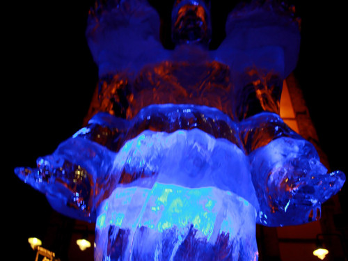 Hofer Weihnachtswelt Eis-Schnitzer – Foto 21