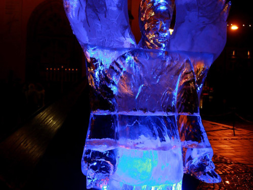 Hofer Weihnachtswelt Eis-Schnitzer – Foto 24