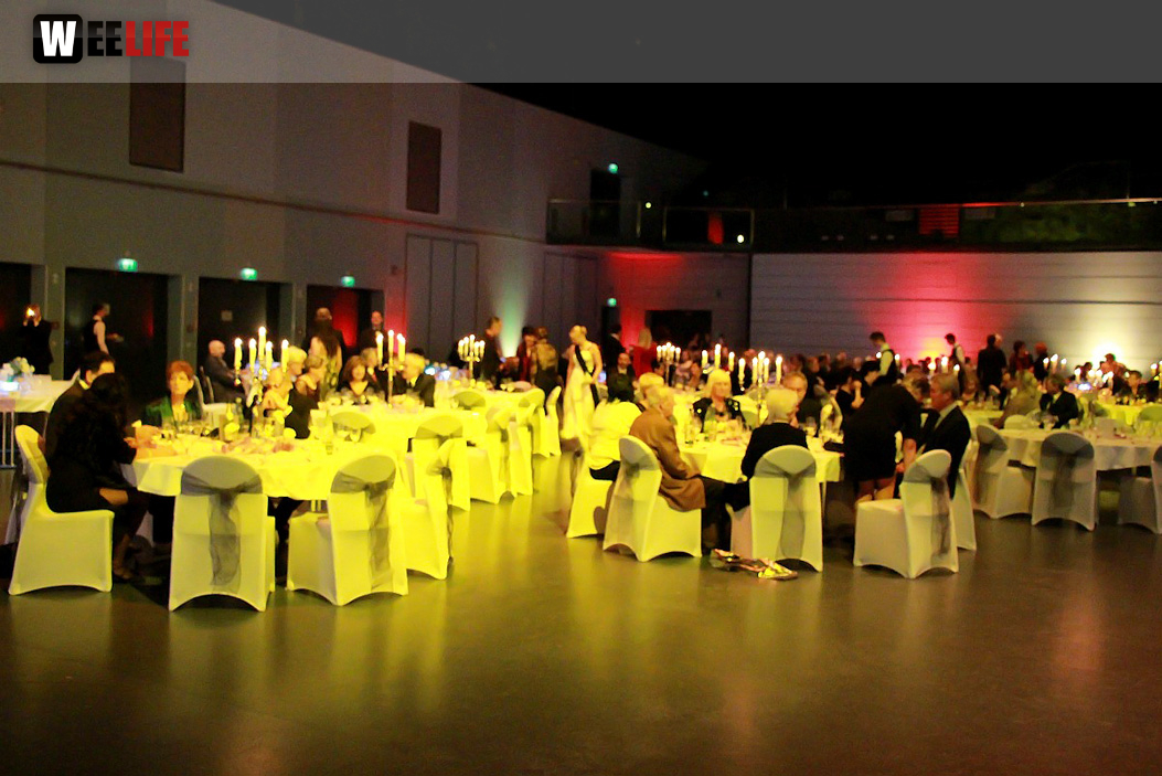 25 Jahre TS Swing Jubiläumsball mit Anja und Bruno Teil 1