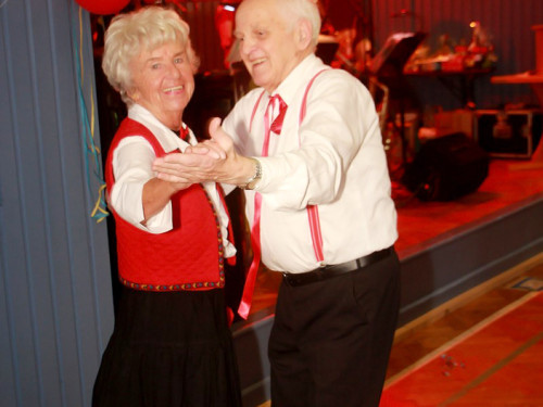 VDK Kreisverband Hof Fasching – Foto 34