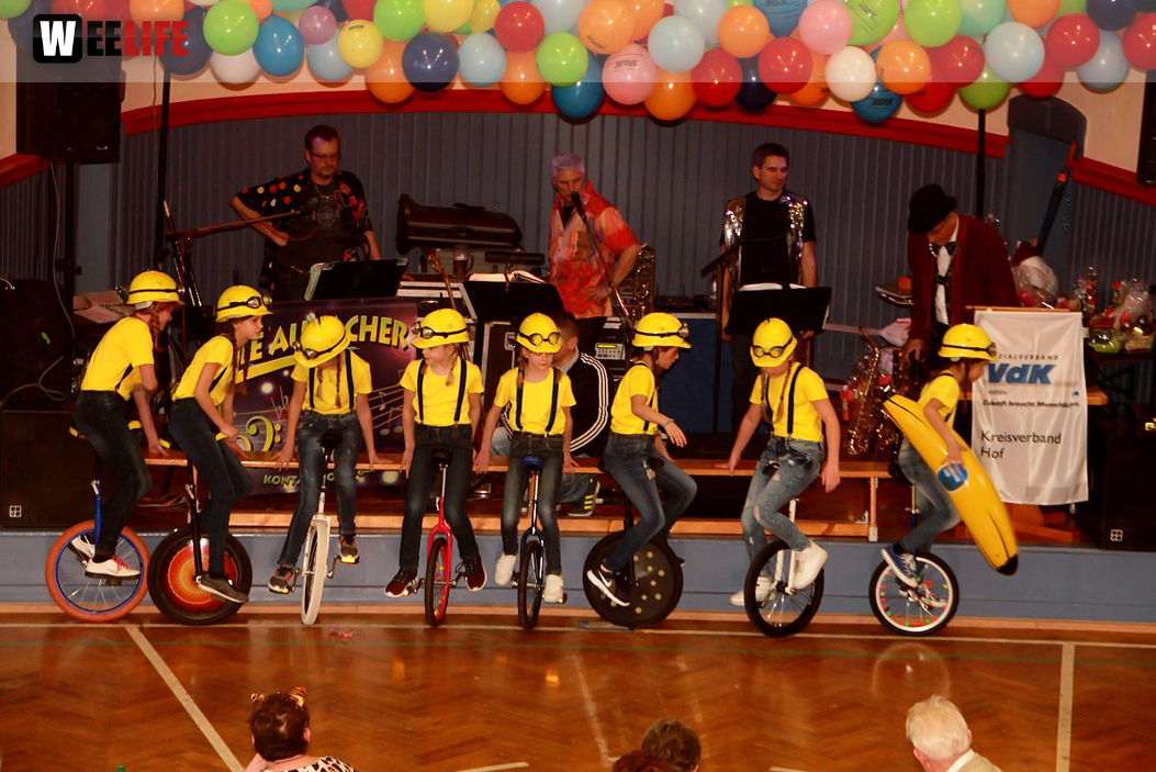 VDK Kreisverband Hof Fasching