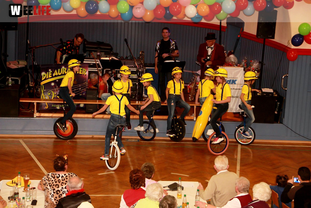 VDK Kreisverband Hof Fasching