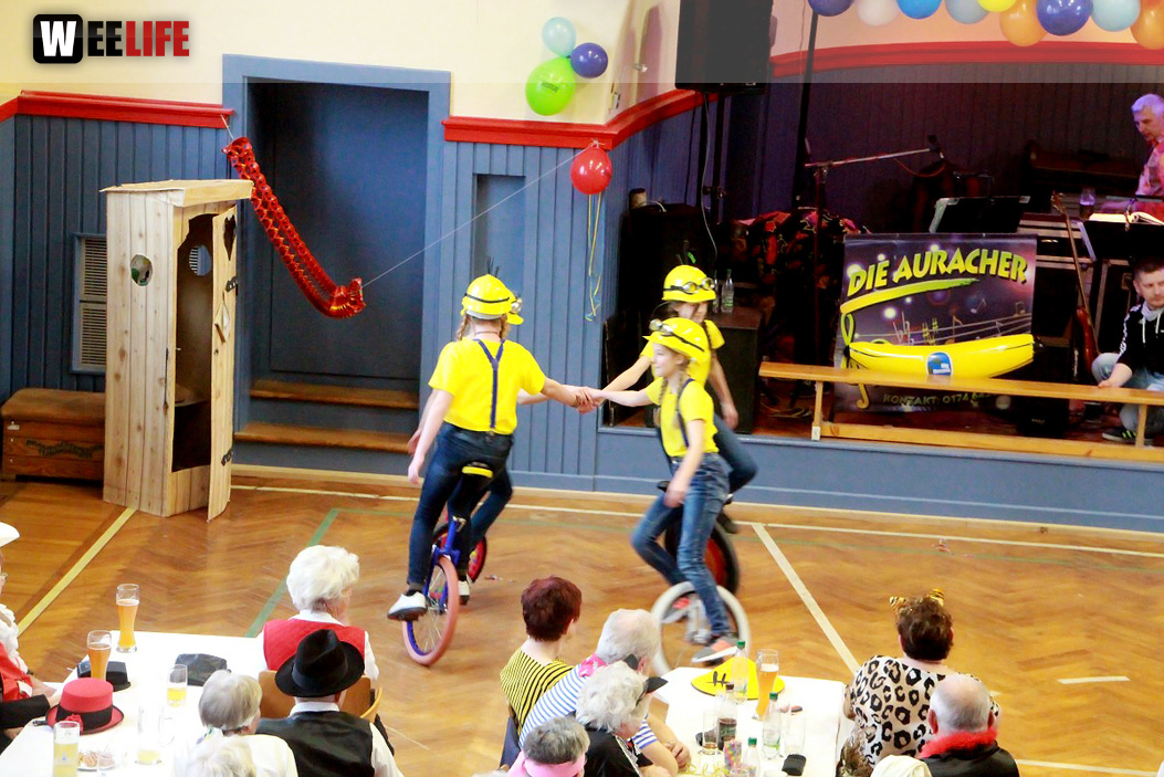 VDK Kreisverband Hof Fasching