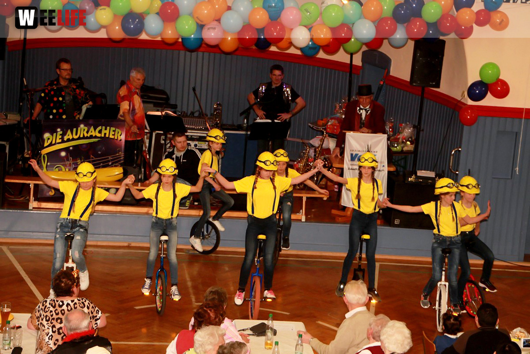 VDK Kreisverband Hof Fasching