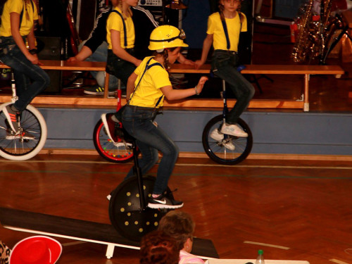 VDK Kreisverband Hof Fasching – Foto 61