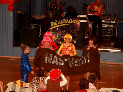 VDK Kreisverband Hof Fasching – Foto 69