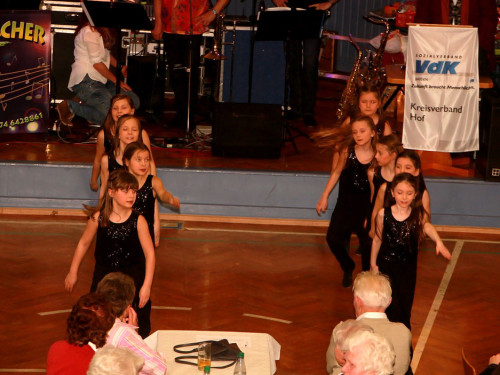 VDK Kreisverband Hof Fasching – Foto 87