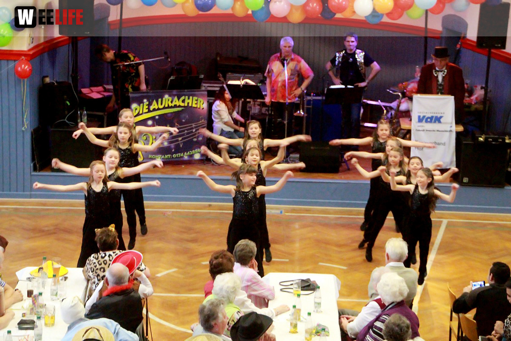 VDK Kreisverband Hof Fasching