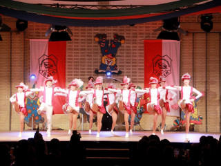 Foto 156652 im Album
