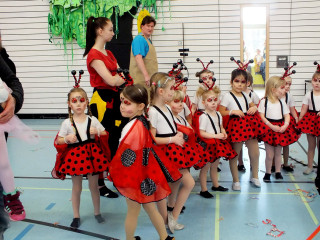 Foto 156942 im Album