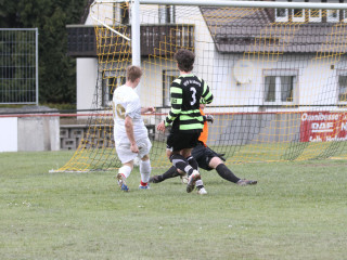 Foto 15694 im Album