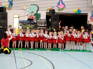 Foto 156971 im Album