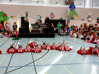 Foto 156979 im Album