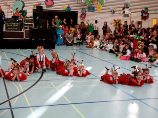 Foto 156980 im Album