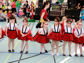Foto 156981 im Album