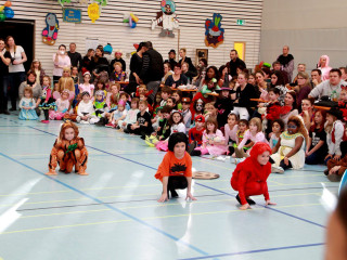 Foto 156987 im Album