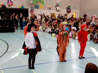 Foto 156996 im Album