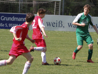 Vorschau des vorherigen Fotos