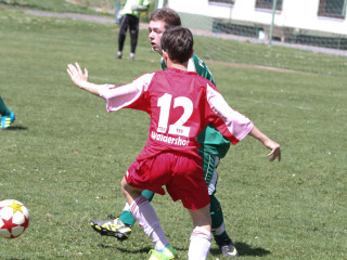 Foto 15718 im Album