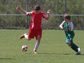 Foto 15731 im Album