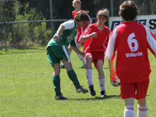 Foto 15733 im Album