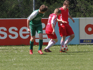 Foto 15736 im Album