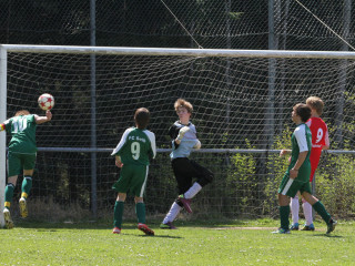 Foto 15742 im Album