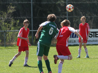 Foto 15743 im Album