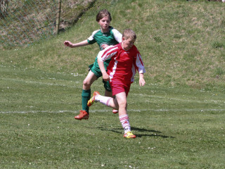 Foto 15756 im Album