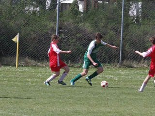 Foto 15768 im Album