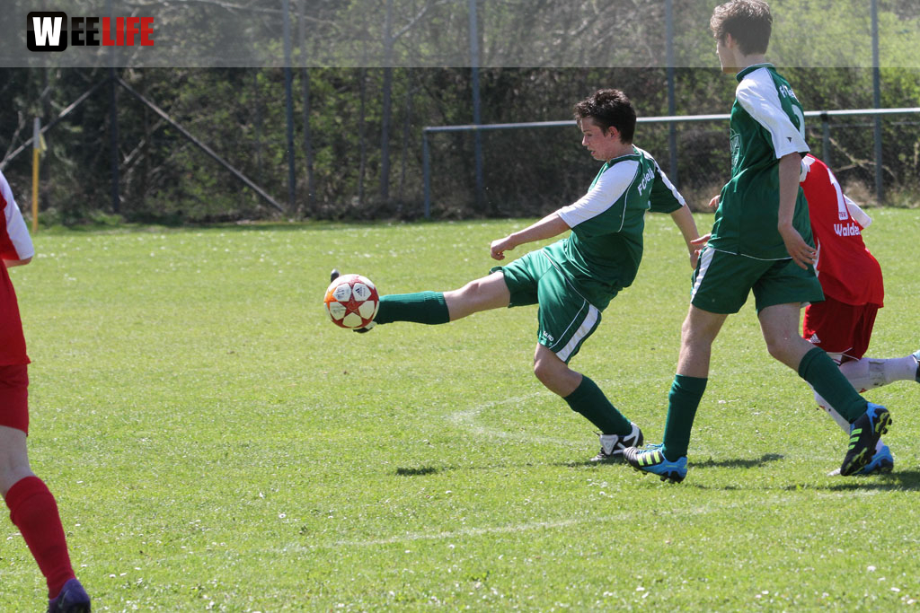 FC Selb - TSV Waldershof