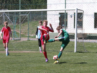 Foto 15780 im Album