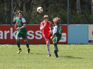 Foto 15785 im Album