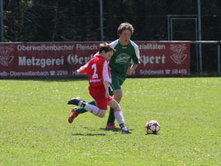 Foto 15793 im Album