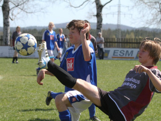 Foto 15832 im Album