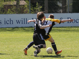 Foto 15882 im Album