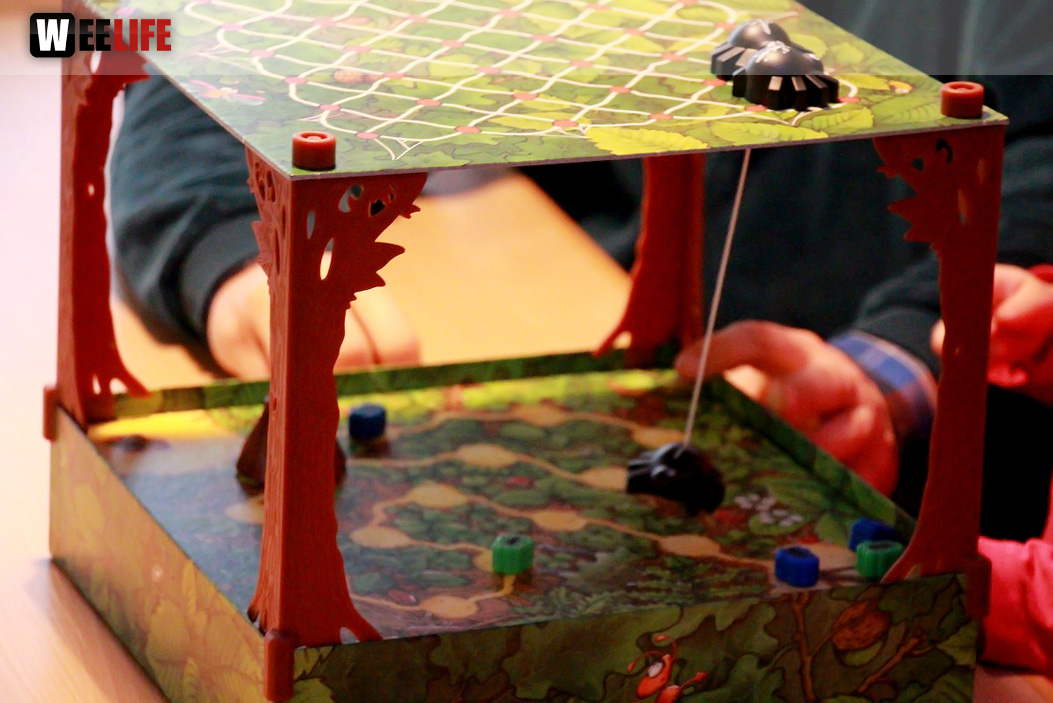 Hof Spielt Samstag