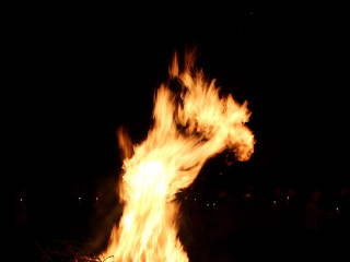 Foto 161449 im Album