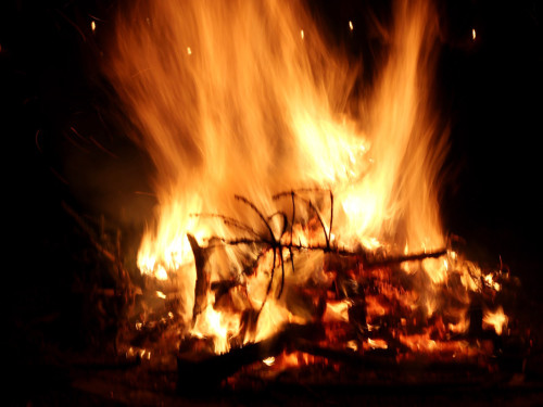 Osternachtsgottesdienst mit OSterfeuer im Park – Foto 27