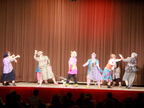 6. Ladies Night Damenballett Gauditurnier – Foto 14