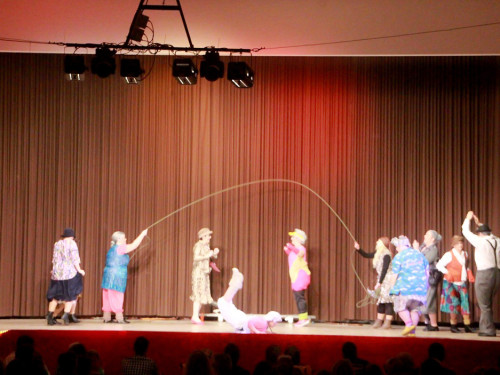 6. Ladies Night Damenballett Gauditurnier – Foto 16