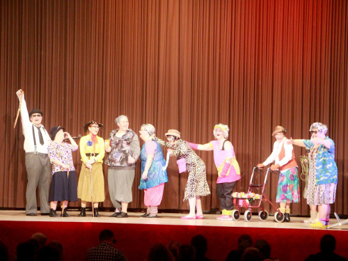 6. Ladies Night Damenballett Gauditurnier – Foto 32