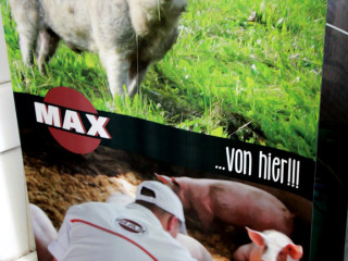 Vorschau des vorherigen Fotos