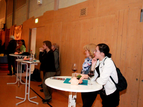 6. Hofer Bal Folk mit Boxgalopp, Phelikahn – Foto 18