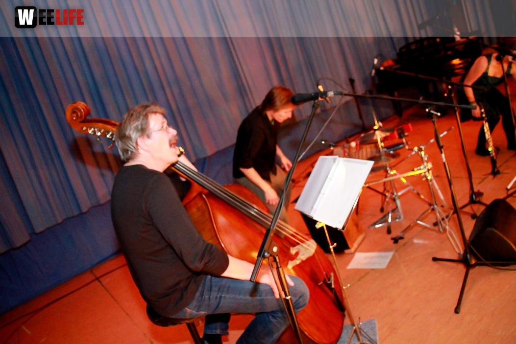6. Hofer Bal Folk mit Boxgalopp, Phelikahn