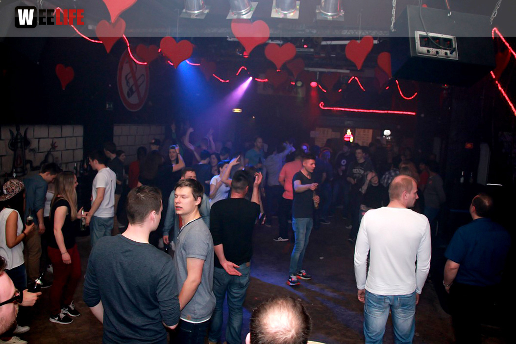Single Party