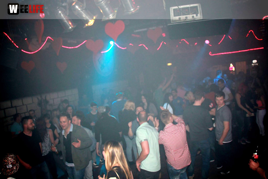 Single Party