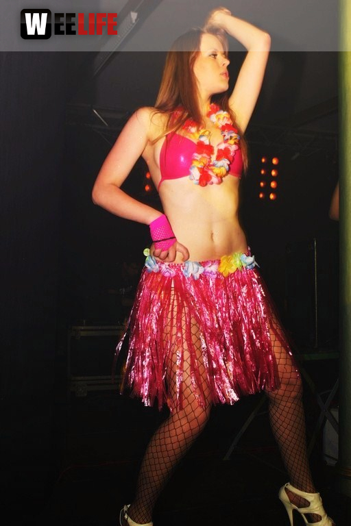 Spring Breaker