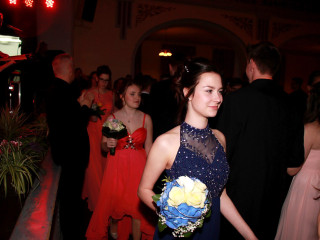Foto 163236 im Album