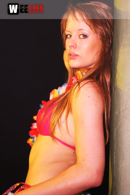 Spring Breaker